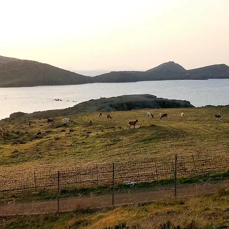 Blue Lagoon Feriehus Analipsi (Astypalaia)